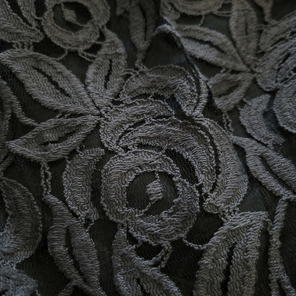RARE Anna Sui Dark Floral Grey Lace Wild Roses Witchycore Babydoll Dress - Picture 4 of 15